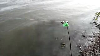 Махмудия, Румыния: рыбалка на Дунае, смена места и вечер у воды