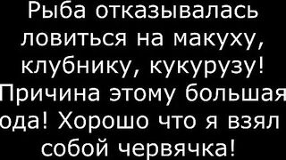 Махмудия, Румыния: рыбалка на Дунае, смена места и вечер у воды