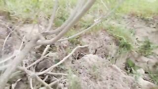 Махмудия, Румыния: рыбалка на Дунае, смена места и вечер у воды