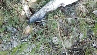 Махмудия, Румыния: рыбалка на Дунае, смена места и вечер у воды