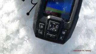 Навага на блесну и червя в бухте Воевода