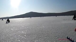 Навага на блесну и червя в бухте Воевода