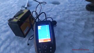 Навага на блесну и червя в бухте Воевода