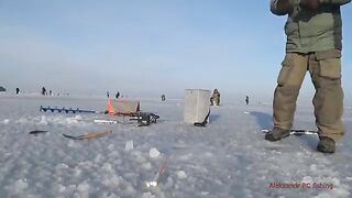 Навага на блесну и червя в бухте Воевода