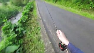 Горный ручей в Румынии: мелкие нимфы и форель на течении