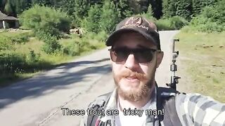 Горный ручей в Румынии: мелкие нимфы и форель на течении