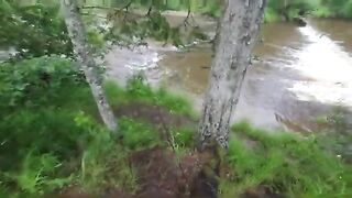 Горный ручей в Румынии: мелкие нимфы и форель на течении