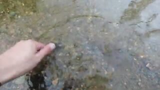 Горный ручей в Румынии: мелкие нимфы и форель на течении