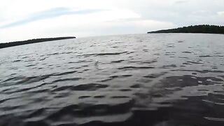 Без поклевок в Пингубе, зато с купанием в Онеге