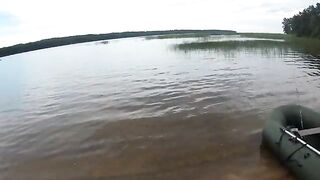 Без поклевок в Пингубе, зато с купанием в Онеге