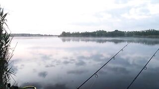 Четыре дня и бессонная ночь с карпами на Тынкэбешть