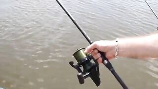 Четыре дня и бессонная ночь с карпами на Тынкэбешть