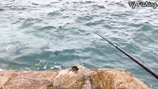 На скалах Нёнли у Куинёна: морская рыбалка и обрывы поводка