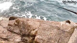 На скалах Нёнли у Куинёна: морская рыбалка и обрывы поводка
