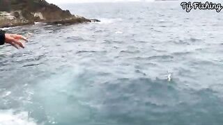 На скалах Нёнли у Куинёна: морская рыбалка и обрывы поводка