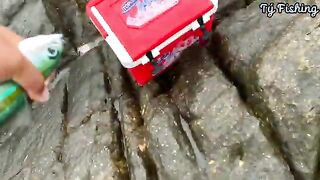На скалах Нёнли у Куинёна: морская рыбалка и обрывы поводка