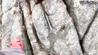На скалах Нёнли у Куинёна: морская рыбалка и обрывы поводка