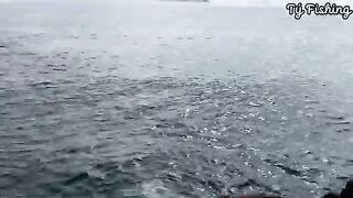 На скалах Нёнли у Куинёна: морская рыбалка и обрывы поводка