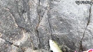 На скалах Нёнли у Куинёна: морская рыбалка и обрывы поводка