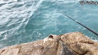 На скалах Нёнли у Куинёна: морская рыбалка и обрывы поводка