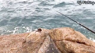 На скалах Нёнли у Куинёна: морская рыбалка и обрывы поводка