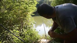 Возвращение на Арджеш с фидером после долгого перерыва