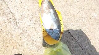 На знакомый мыс Нёнли спустя год: рыбалка с друзьями и обед на берегу