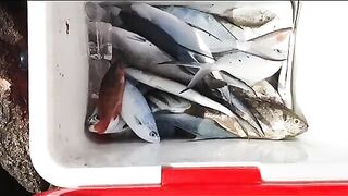 На знакомый мыс Нёнли спустя год: рыбалка с друзьями и обед на берегу