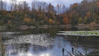 Карп у кувшинок и две ночи на румынском водоеме