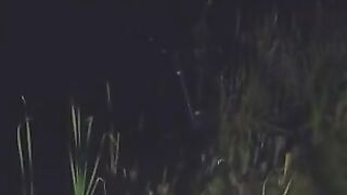 Карп у кувшинок и две ночи на румынском водоеме