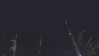 Карп у кувшинок и две ночи на румынском водоеме