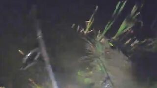 Карп у кувшинок и две ночи на румынском водоеме