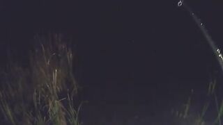 Карп у кувшинок и две ночи на румынском водоеме