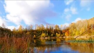 Карп у кувшинок и две ночи на румынском водоеме