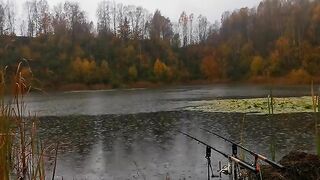 Карп у кувшинок и две ночи на румынском водоеме