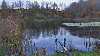 Карп у кувшинок и две ночи на румынском водоеме