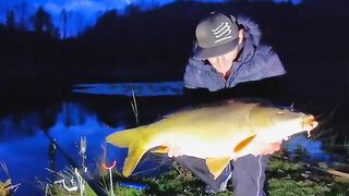 Карп у кувшинок и две ночи на румынском водоеме