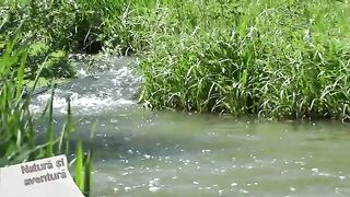 От водопада Чукаш к ущелью Турда с удочками в руках