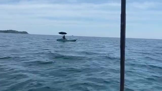 Морская рыбалка с лодки: поклевки рыбы иглобрюха, подготовка улова и разговоры на борту