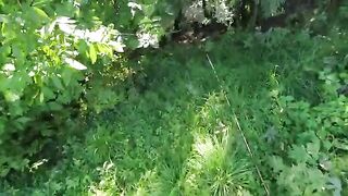 Первая форель и хариус в поездке по Трансильвании