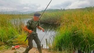 Четыре карпа из восьми поклевок возле камыша