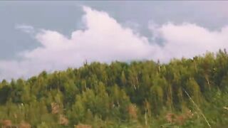 Четыре карпа из восьми поклевок возле камыша