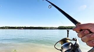 Короткая рыбалка в старом порту Галаца на Дунае