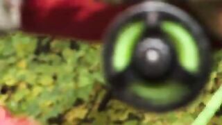 Осенняя форелевая река Тырнава-Маре у Зетя