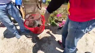 На соревнованиях в Куинёне: твердая насадка против мелкой рыбы