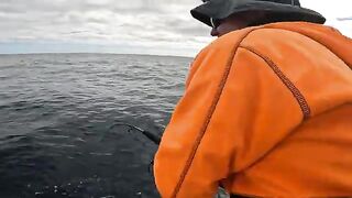 Красные снапперы с глубины 70 метров в Южном океане