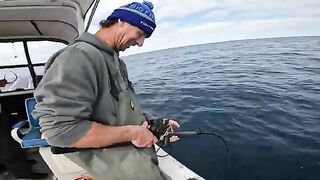 Красные снапперы с глубины 70 метров в Южном океане
