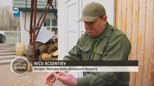 Осетры в дельте Дуная: работа румынских инспекторов, сети браконьеров и выпуск молодой рыбы