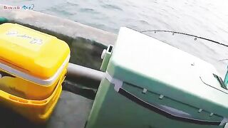 Морская рыбалка у Кото: мелких групперов отпускаем обратно