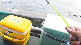 Морская рыбалка у Кото: мелких групперов отпускаем обратно